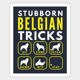 Stubborn Belgian Tricks - Dog Training Magnet